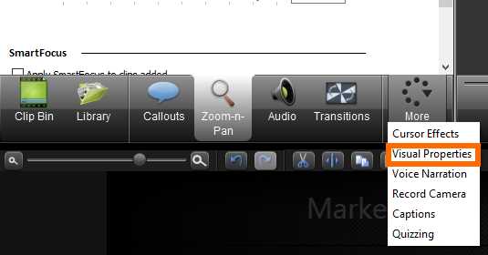Visual Properties option displayed in the More tab