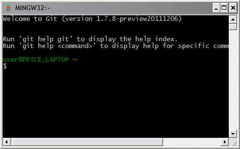 Screenshot of Git Bash