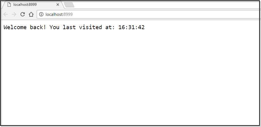 Subsequent Visits to the Site