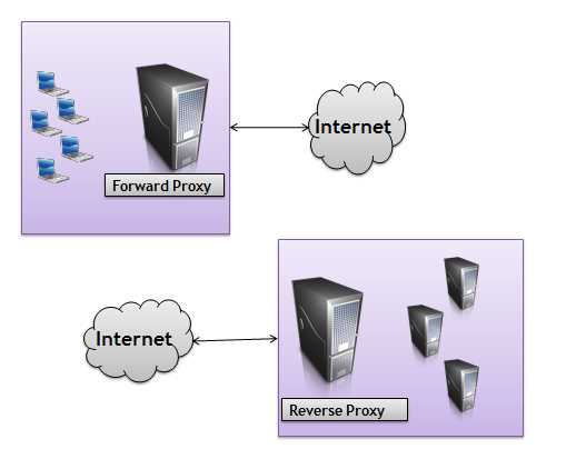 Forward and reverse proxies