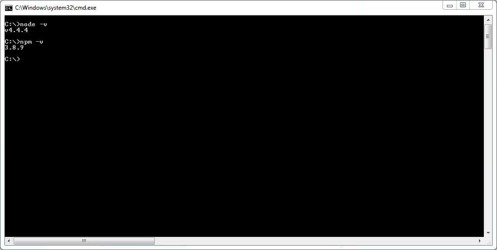 Node and NPM version check