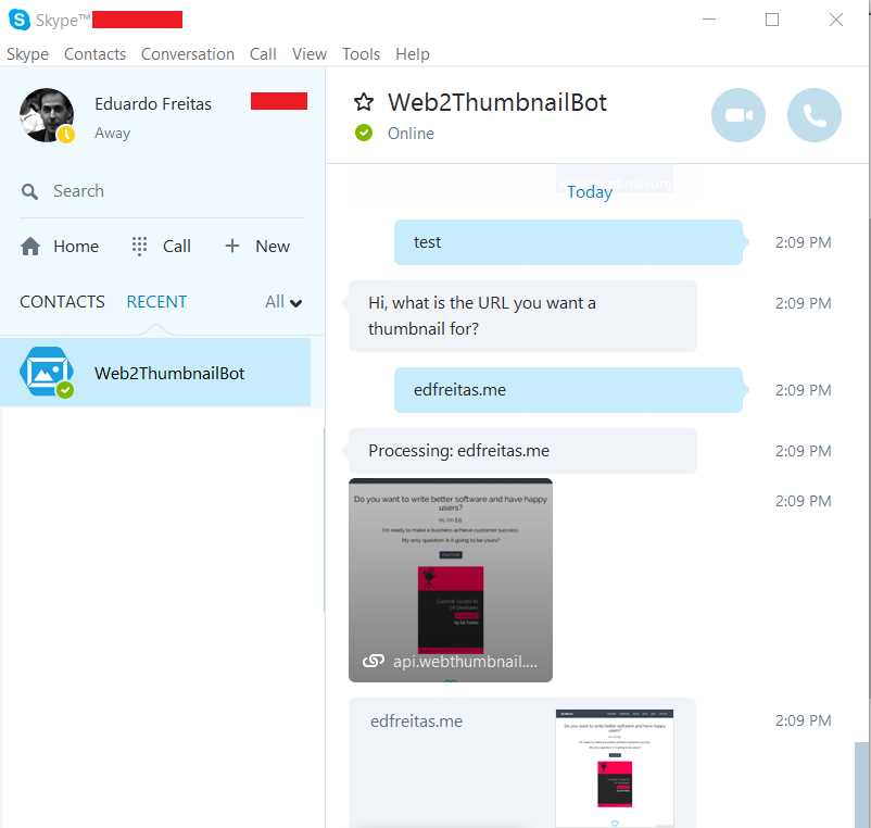 Interacting with Our Bot on Skype