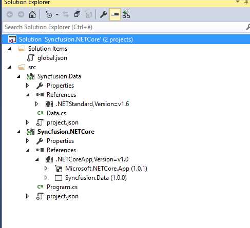 The solution explorer structure