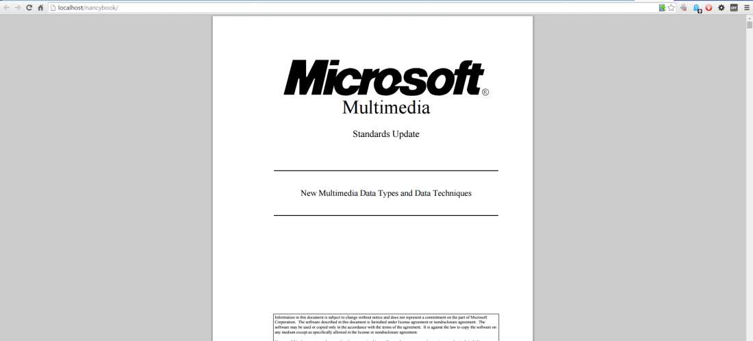 Our PDF report being displayed in the Chrome browser