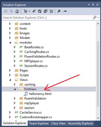 Solution Explorer showing the correct folders and file name for the view file