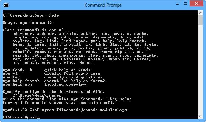 Calling the npm package manager