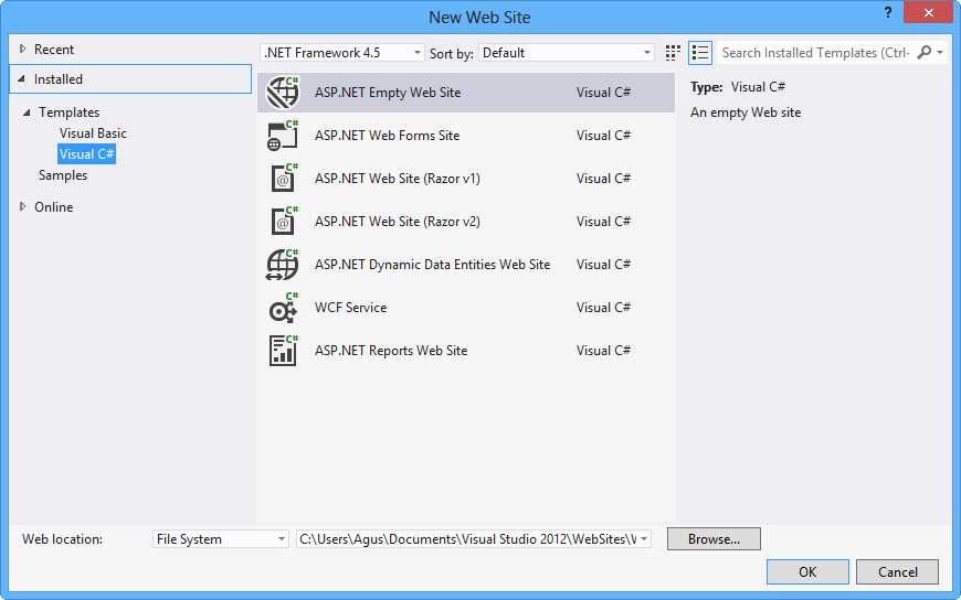 Web project template on Visual Studio 2012