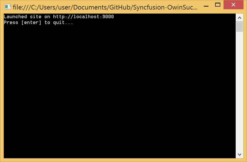 Console Application with Custom Host
