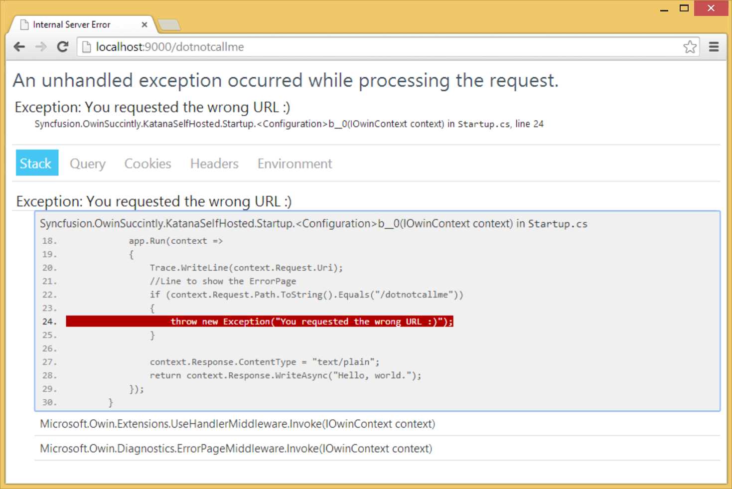 Error Page, Stack Trace