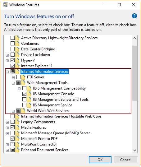 Internet Information Services Feature Selected