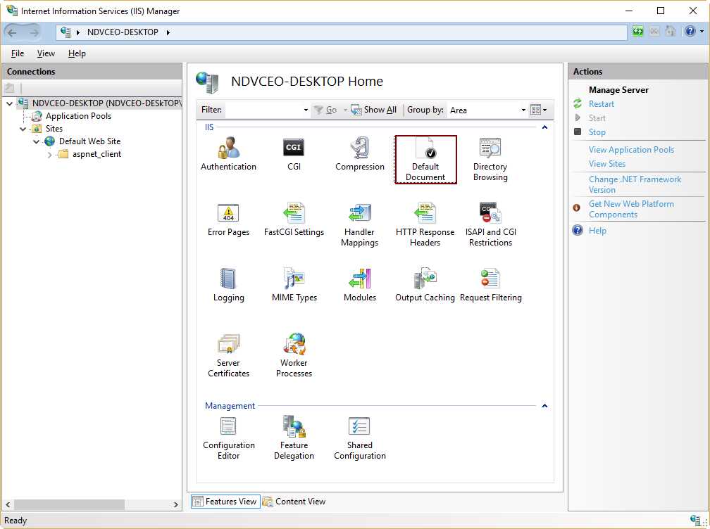 The Default Document Icon in the IIS Section