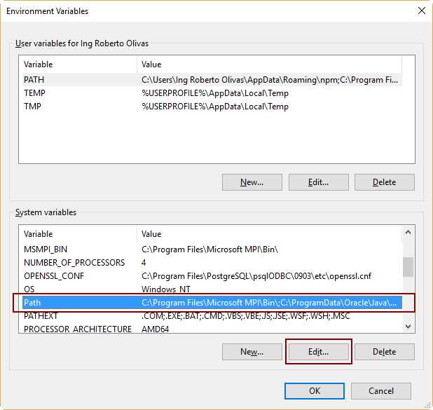 The Path System Variable in the Environment Variables Dialog Box