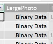 Binary Data in the Grid View