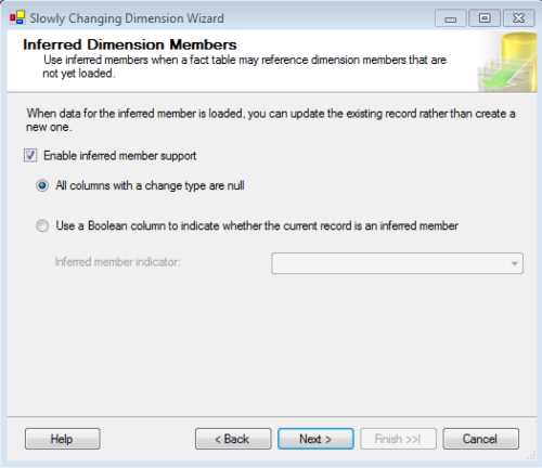 Configuring Inferred Members