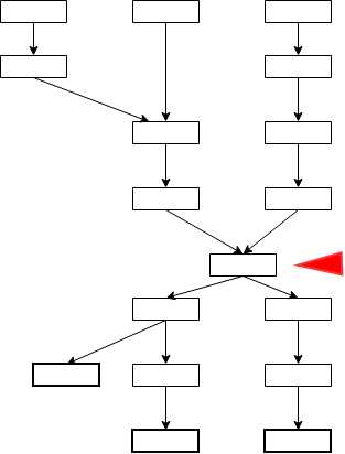 Complex Directed Acyclic Graph with Caching Candidate