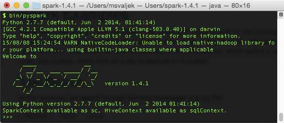 PySpark Shell in Action