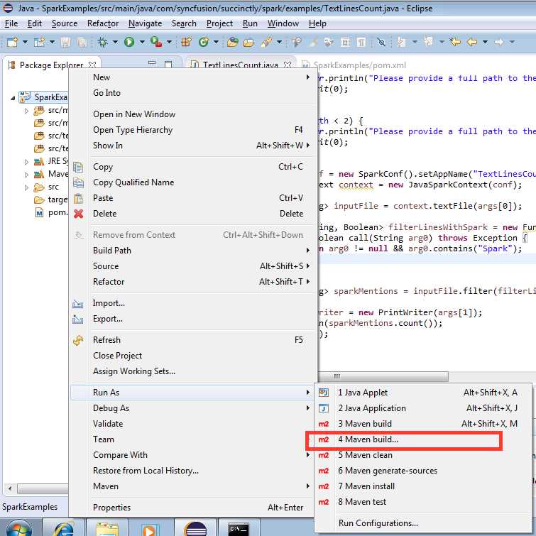 Running Maven Build with Options