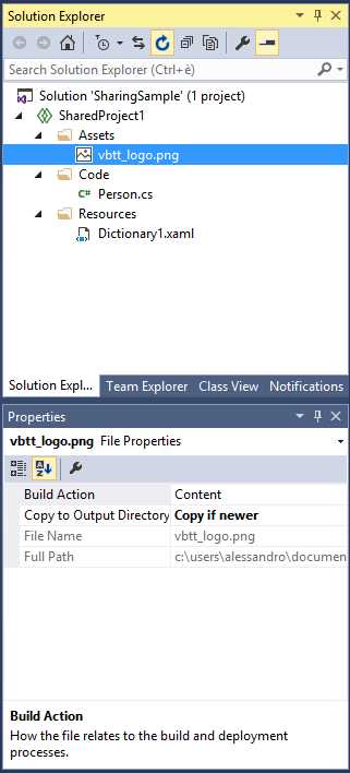 The current appearance for the shared project.