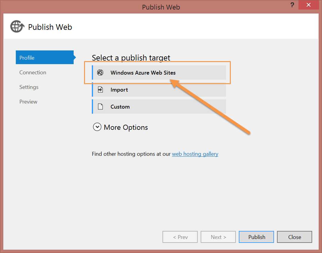 Publish Web Site dialog