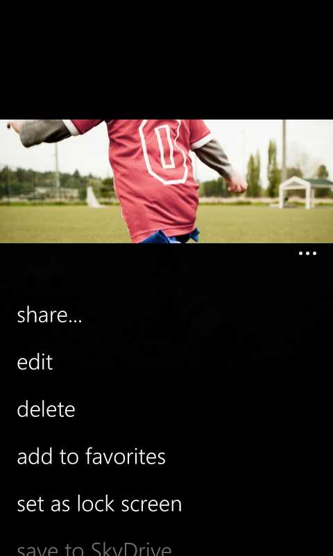 Share Option in the Picture Details Page