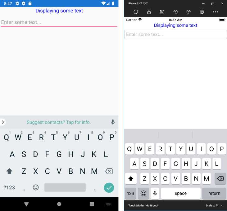 Label and Entry controls