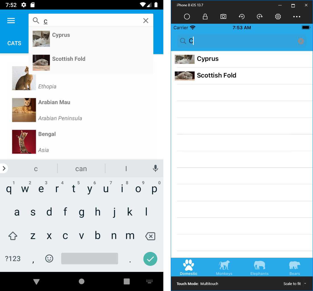 The search tool within the Shell