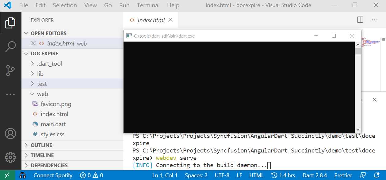 Connecting to the Dart SDK Runtime