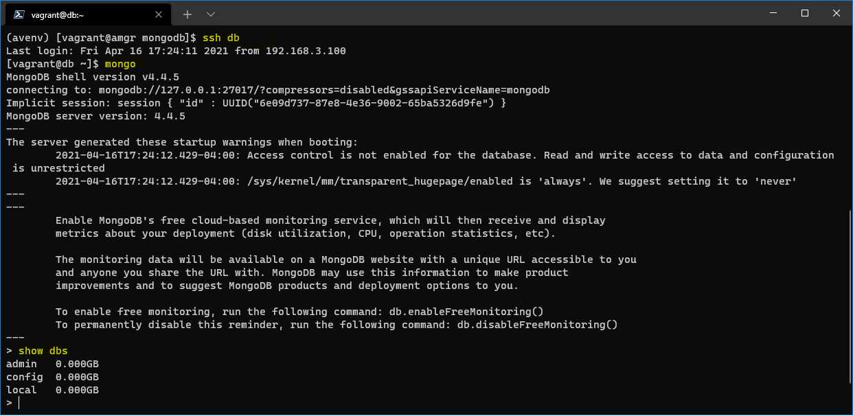 Checking on the server if MongoDB runs