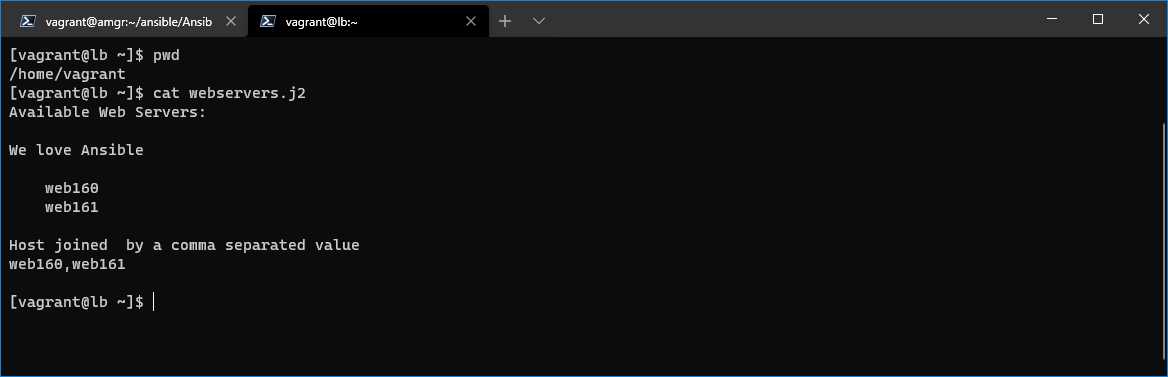 Load balancer home directory