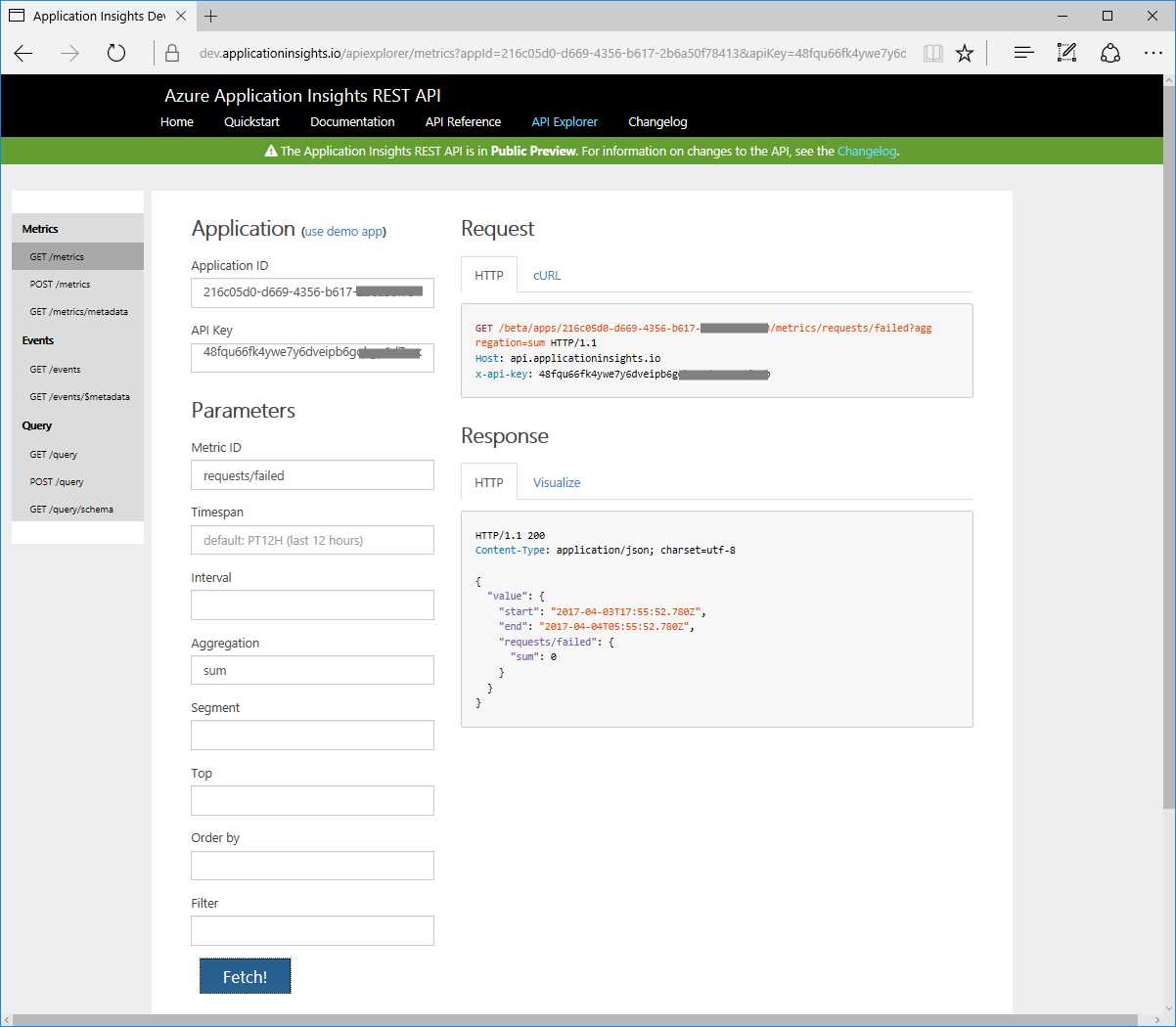The API Explorer Page