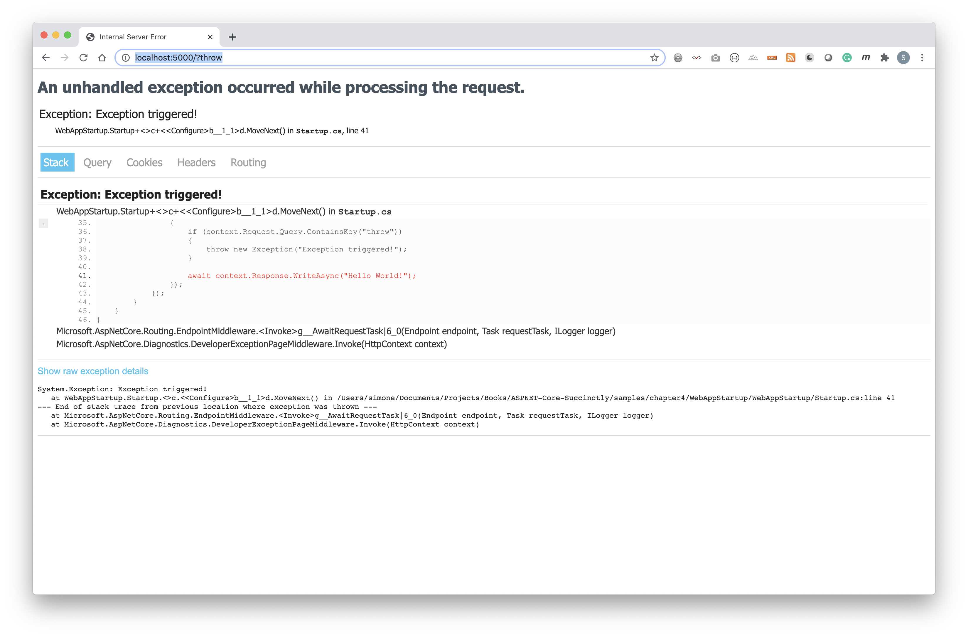 Developer Exception Page