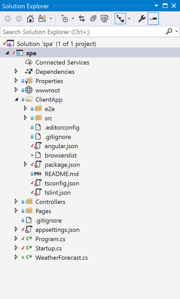 SPA with Angular and ASP.NET Core
