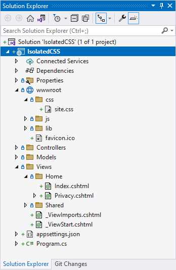 The Project Demonstrating a Site-Wide CSS