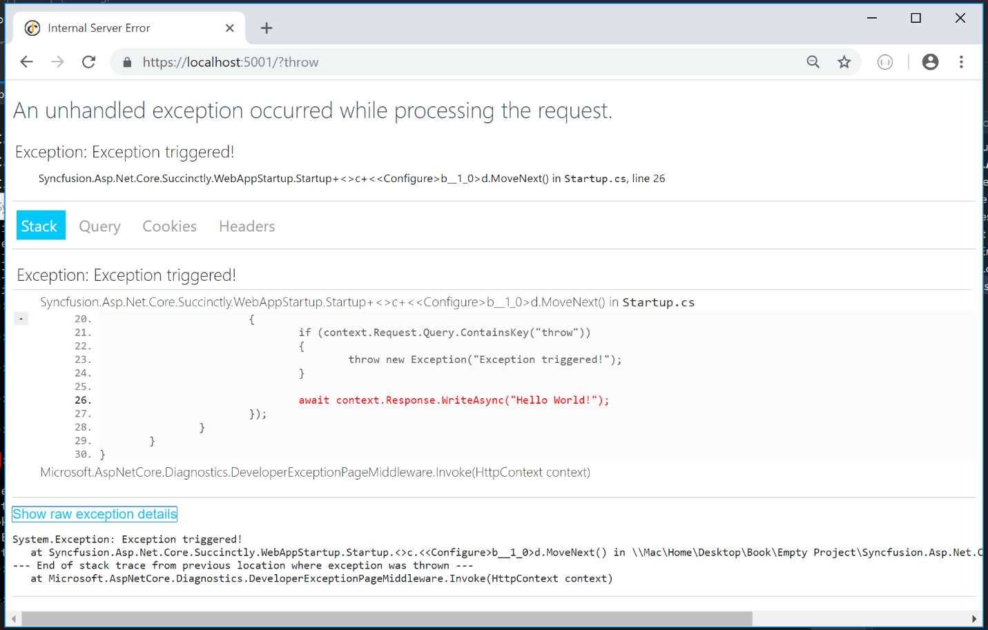 Developer Exception Page
