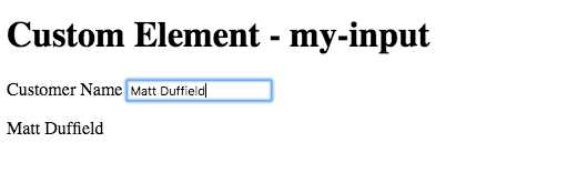 Custom Element–my-input