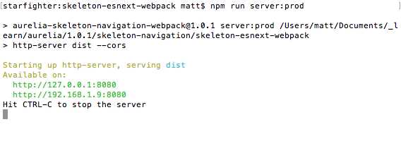 Running a development or production bundle.