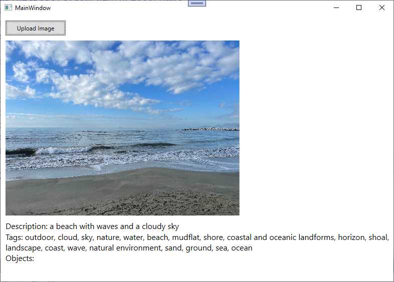 Image analysis result