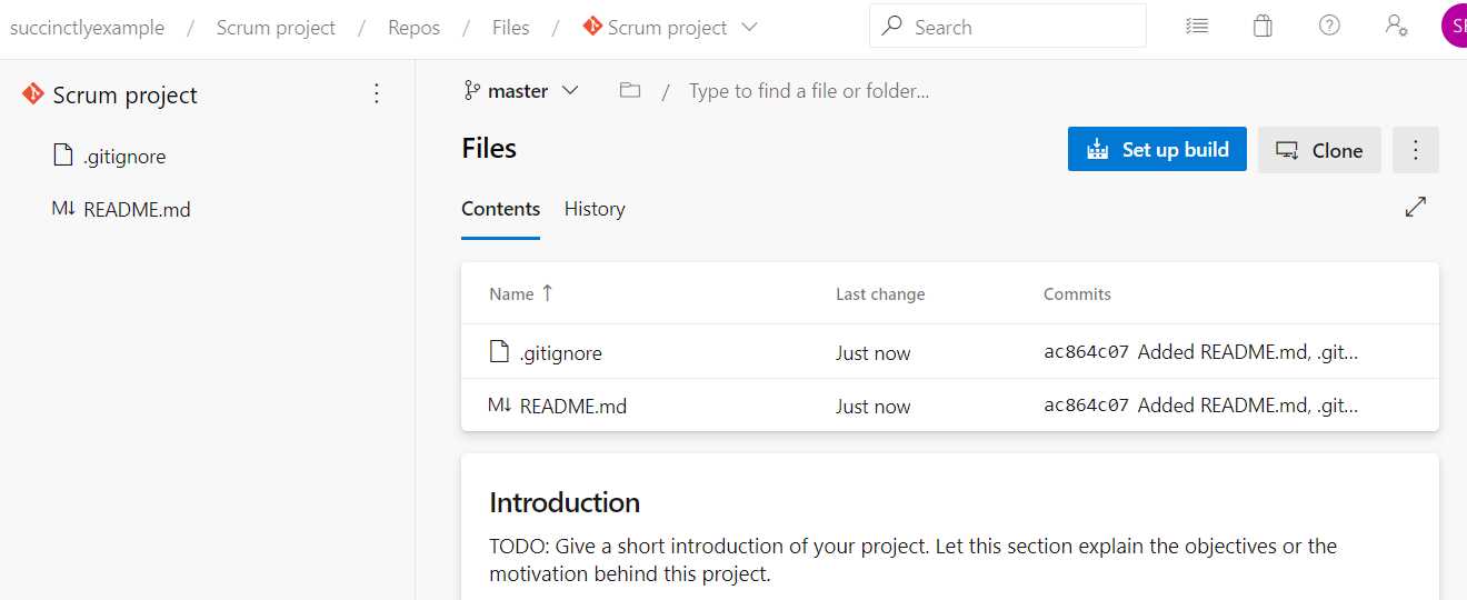 The Default Repository Page