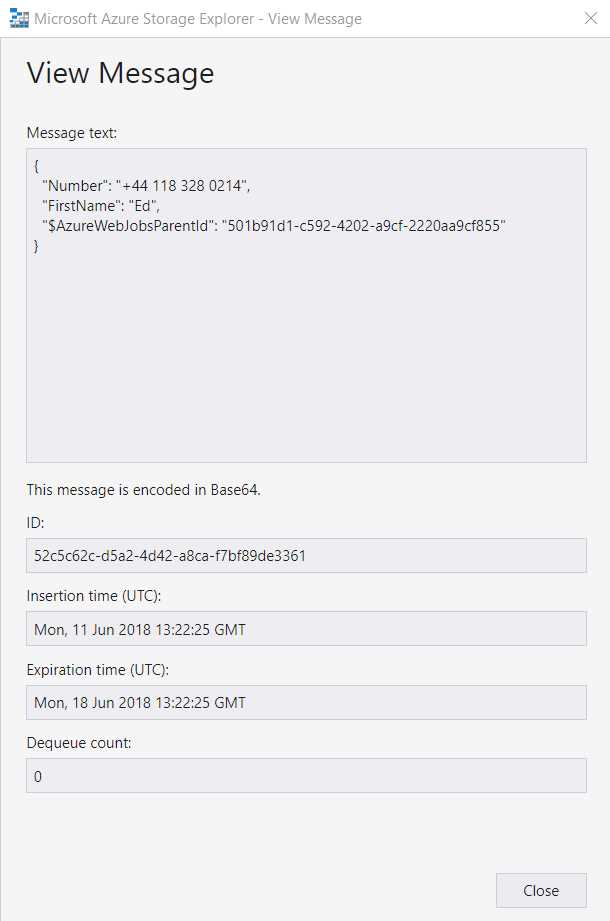 Details of the Entry Added to the Azure Queue Storage