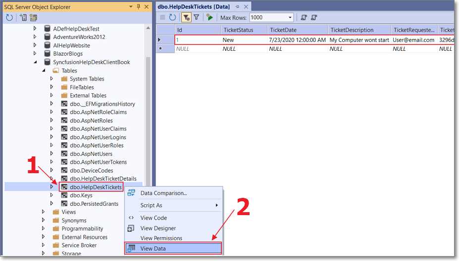 View Data in the Database