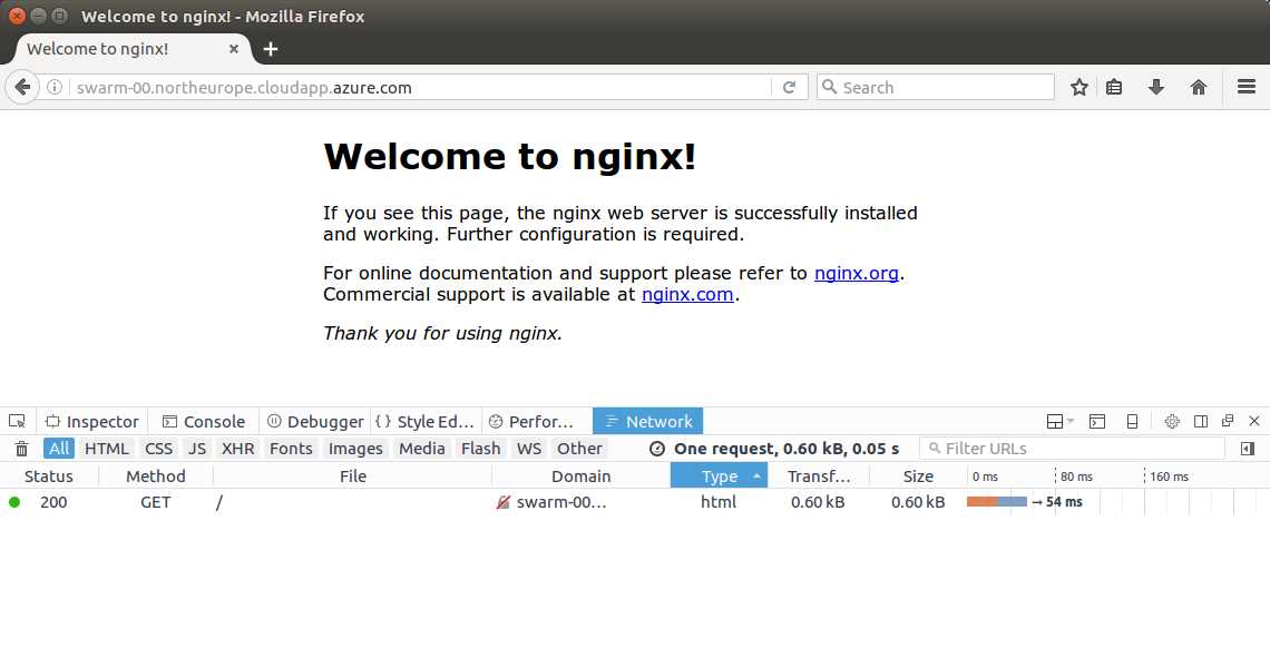 Browsing the Website on the Swarm Container
