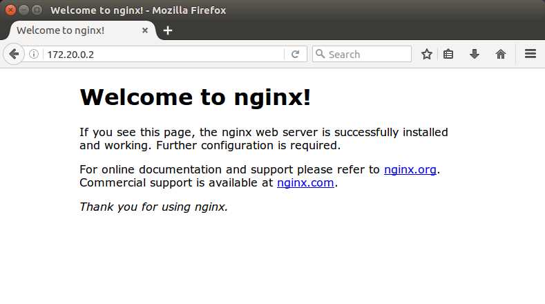 Browsing to the Container’s IP Address