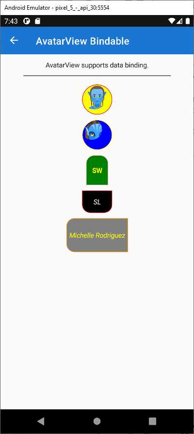 The AvatarView in Action