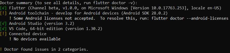 Results from running the flutter doctor command