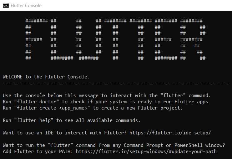The Flutter console running
