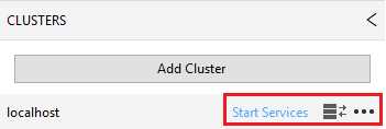 Starting services on the local cluster