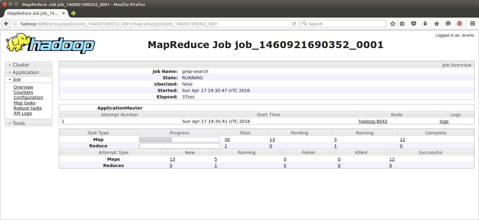 The Application Master UI