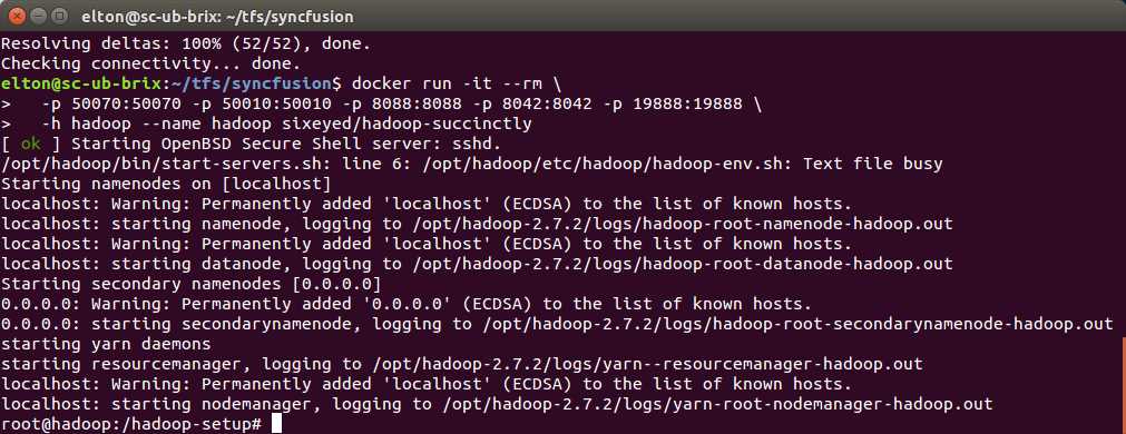 The Running Docker Container