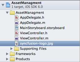 The media asset in the Project Navigator