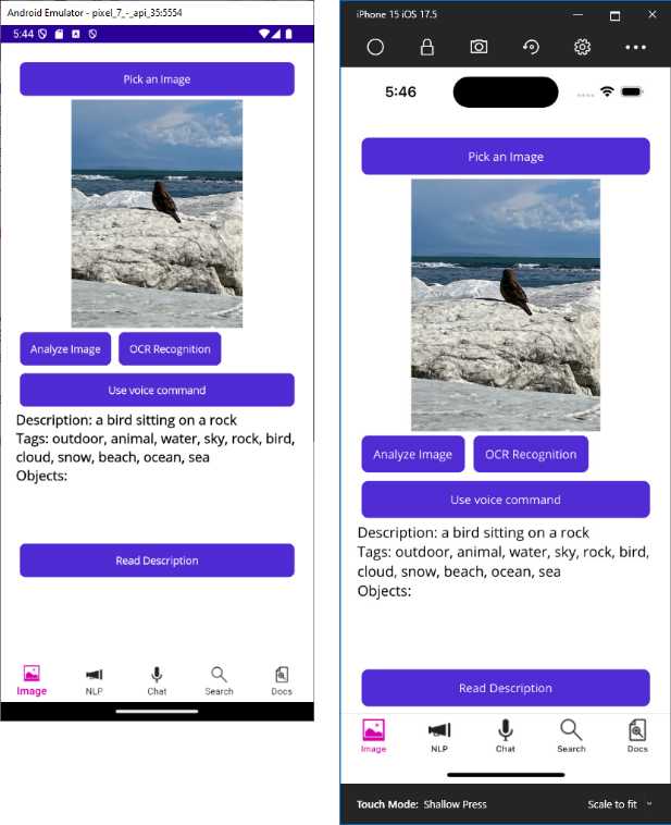 The image analysis result triggered by a voice command